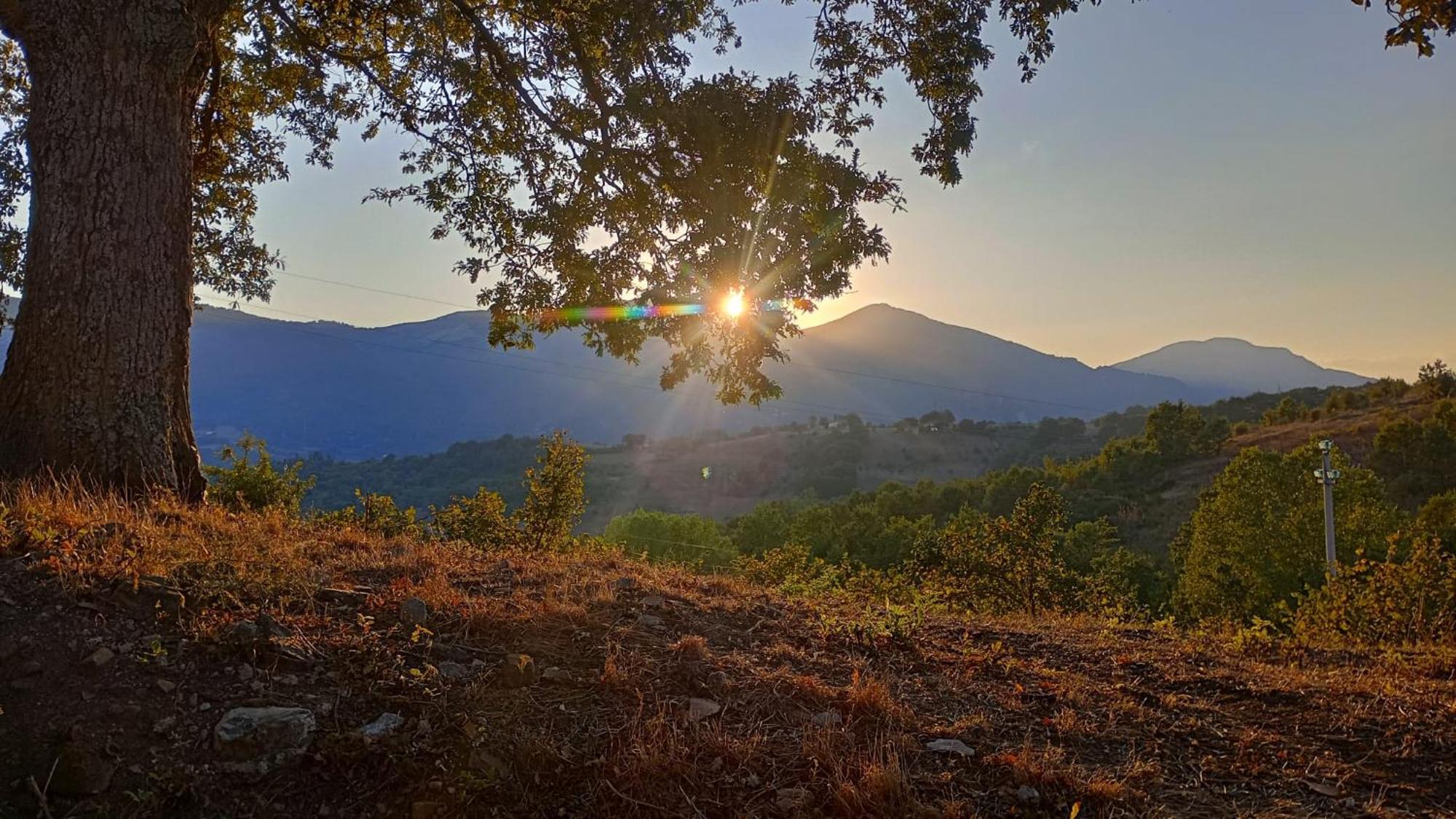 Bed and Breakfast Il Sottobosco Satriano di Lucania Экстерьер фото